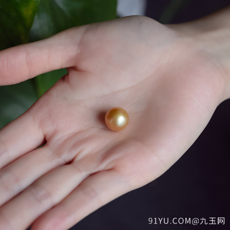 12.3mm海水金色珍珠圆珠