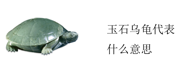 玉石乌龟代表什么意思