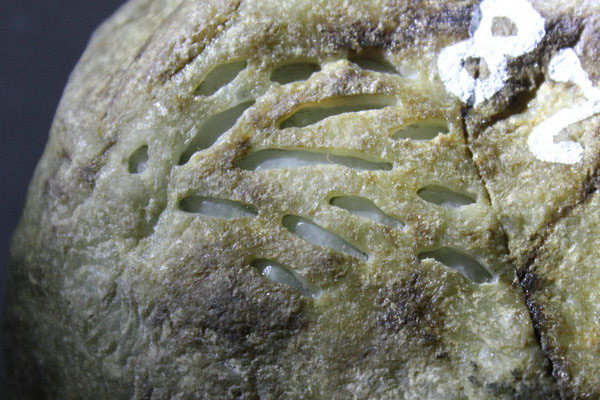 翡翠原石蜂窝状皮壳的内部怎样 蜂窝状皮壳翡翠原石出自哪里