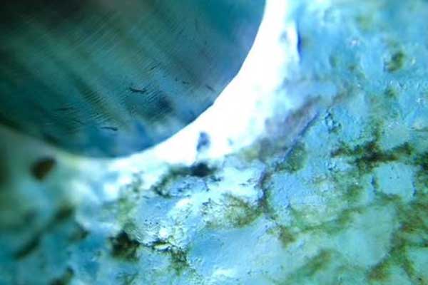 翡翠原石种水技巧 怎么看翡翠原石的种水好坏？